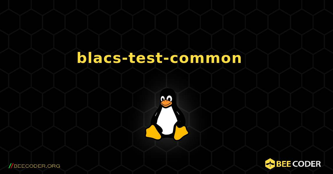 blacs-test-common  እንዴት እንደሚጫን. Linux