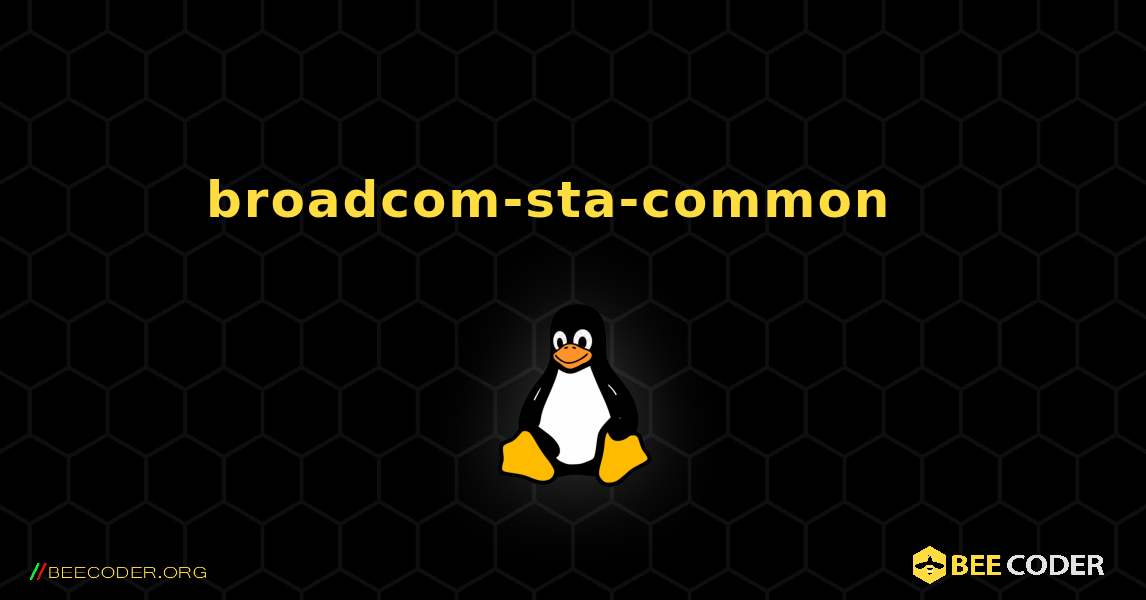 broadcom-sta-common  እንዴት እንደሚጫን. Linux