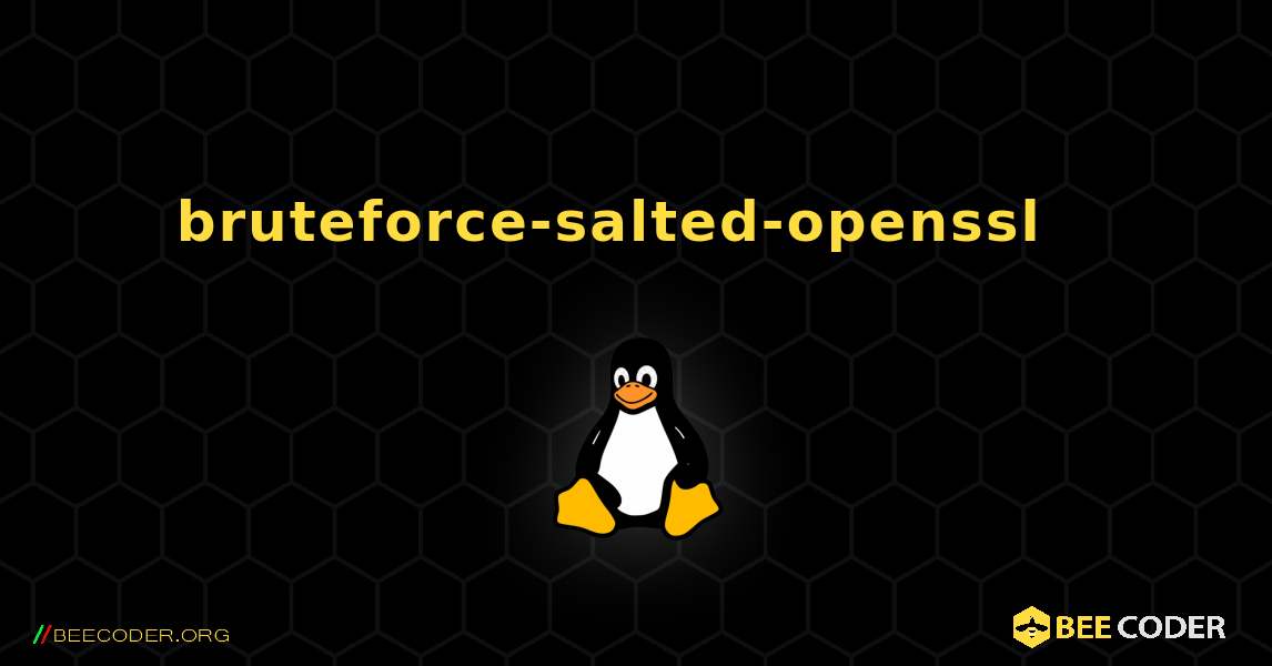 bruteforce-salted-openssl  እንዴት እንደሚጫን. Linux