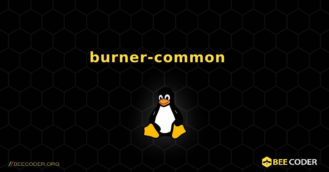 burner-common  እንዴት እንደሚጫን. Linux