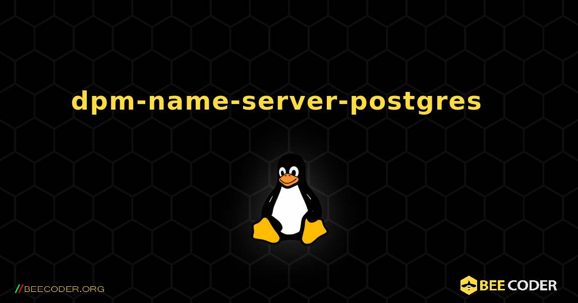 dpm-name-server-postgres  እንዴት እንደሚጫን. Linux