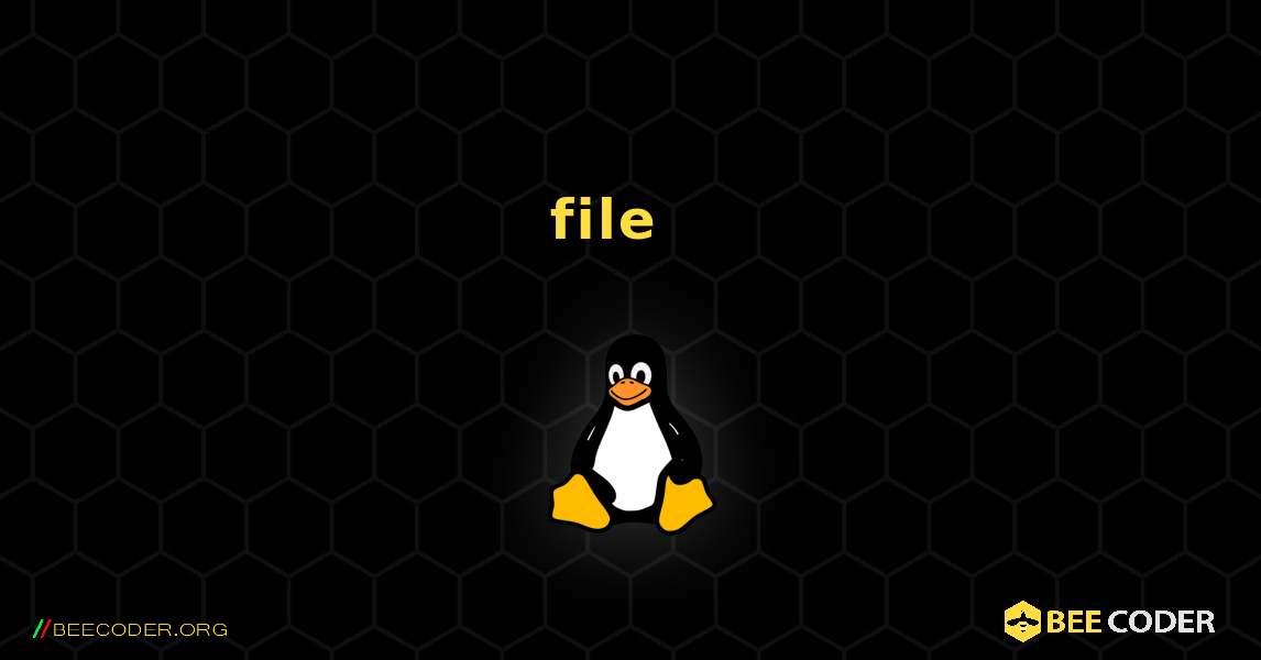 file  እንዴት እንደሚጫን. Linux