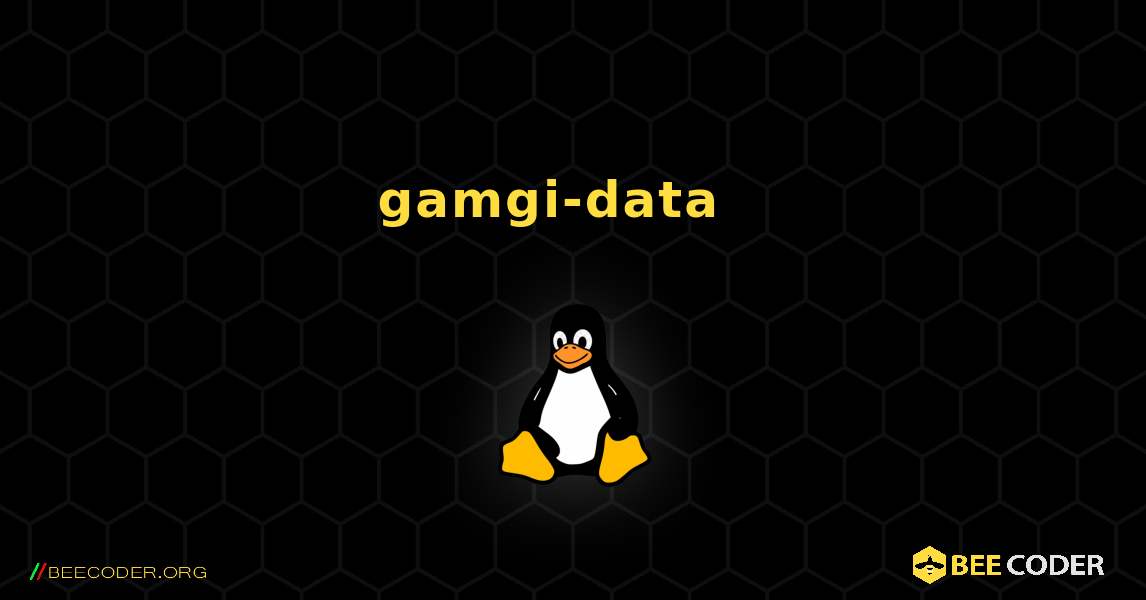 gamgi-data  እንዴት እንደሚጫን. Linux