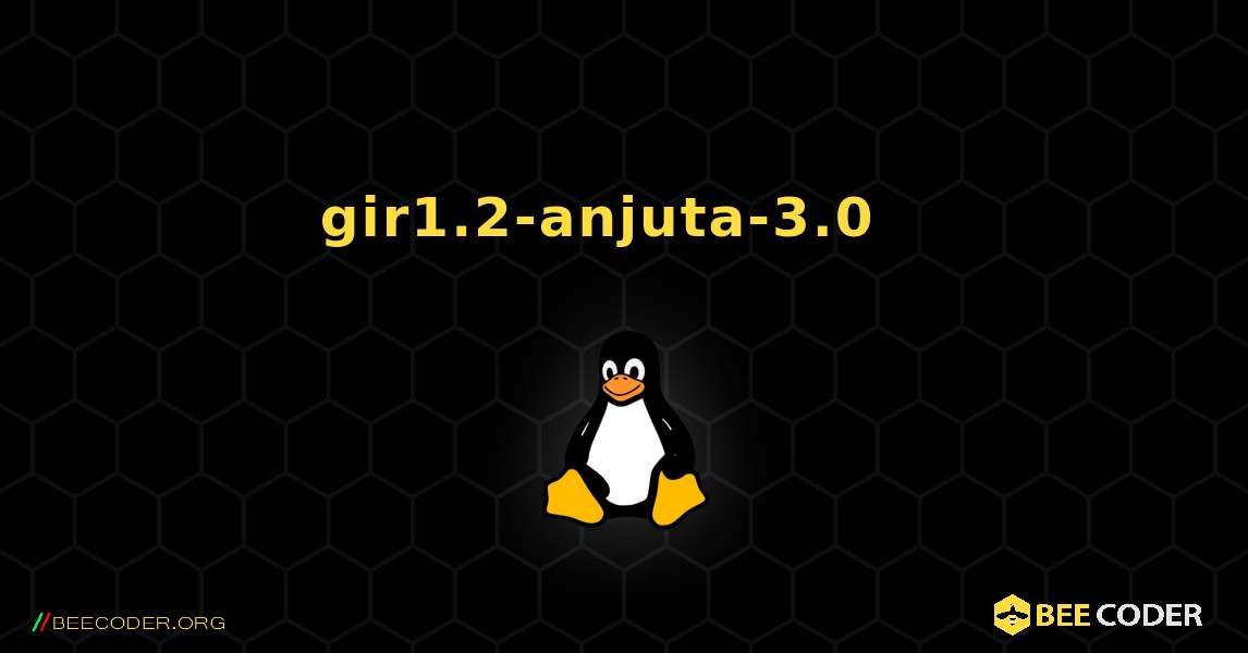 gir1.2-anjuta-3.0  እንዴት እንደሚጫን. Linux