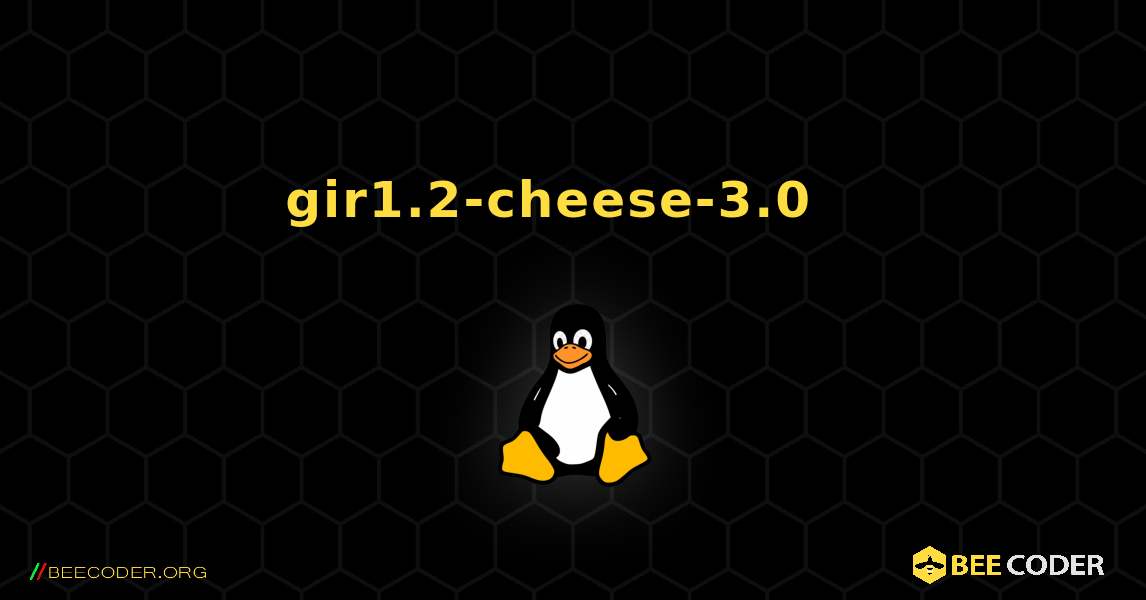 gir1.2-cheese-3.0  እንዴት እንደሚጫን. Linux