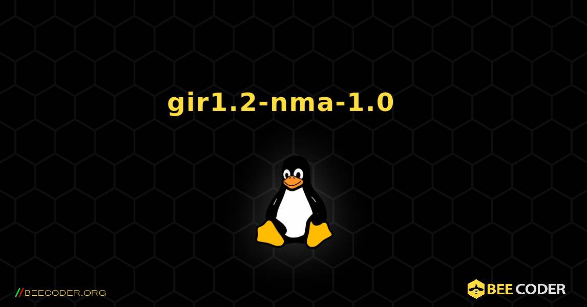 gir1.2-nma-1.0  እንዴት እንደሚጫን. Linux