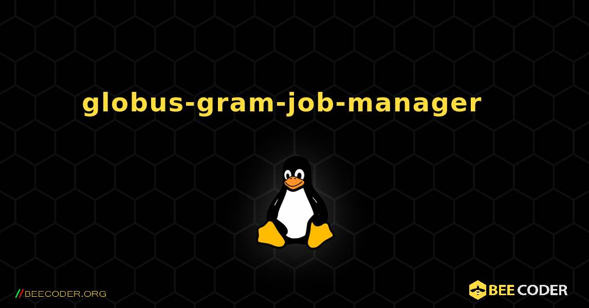 globus-gram-job-manager  እንዴት እንደሚጫን. Linux