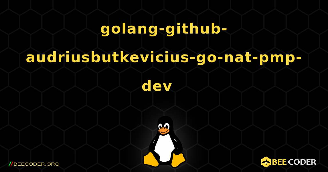 golang-github-audriusbutkevicius-go-nat-pmp-dev  እንዴት እንደሚጫን. Linux