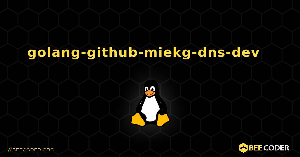 golang-github-miekg-dns-dev  እንዴት እንደሚጫን. Linux