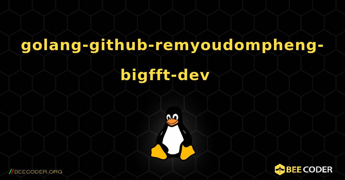 golang-github-remyoudompheng-bigfft-dev  እንዴት እንደሚጫን. Linux