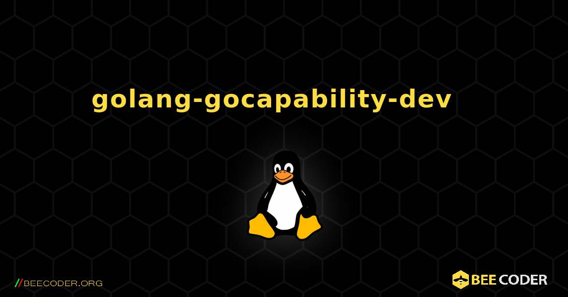 golang-gocapability-dev  እንዴት እንደሚጫን. Linux