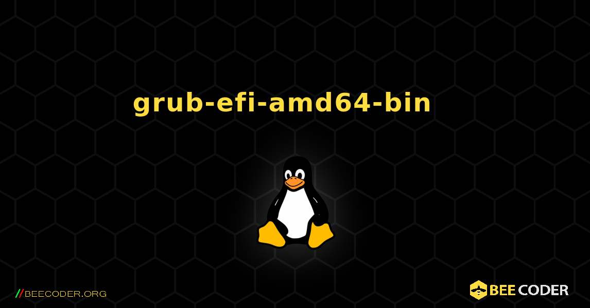 grub-efi-amd64-bin  እንዴት እንደሚጫን. Linux