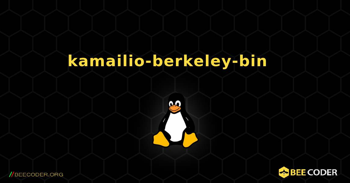 kamailio-berkeley-bin  እንዴት እንደሚጫን. Linux