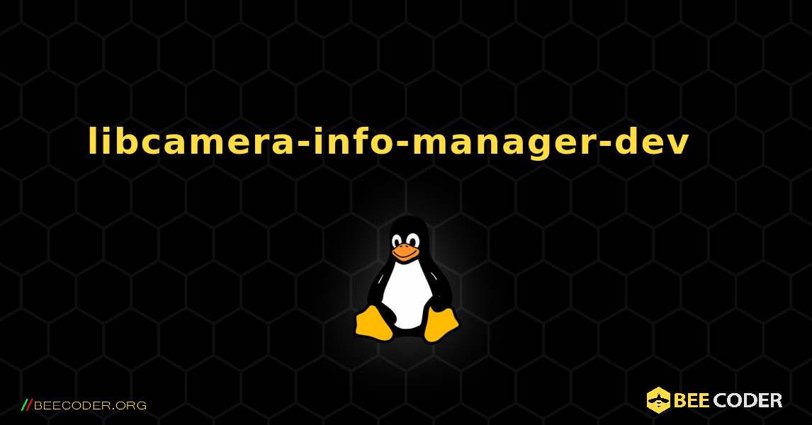 libcamera-info-manager-dev  እንዴት እንደሚጫን. Linux