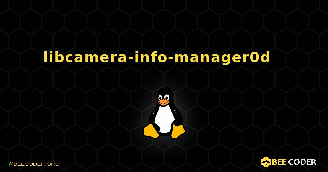 libcamera-info-manager0d  እንዴት እንደሚጫን. Linux