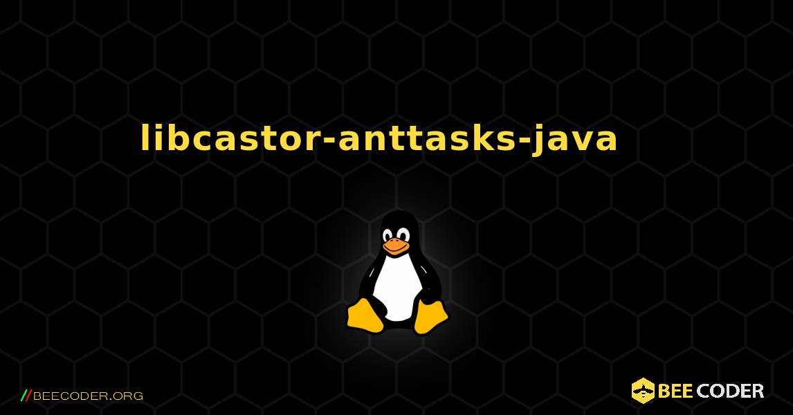 libcastor-anttasks-java  እንዴት እንደሚጫን. Linux