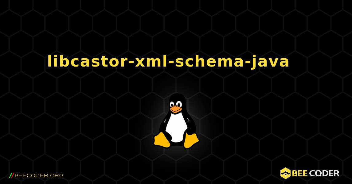 libcastor-xml-schema-java  እንዴት እንደሚጫን. Linux