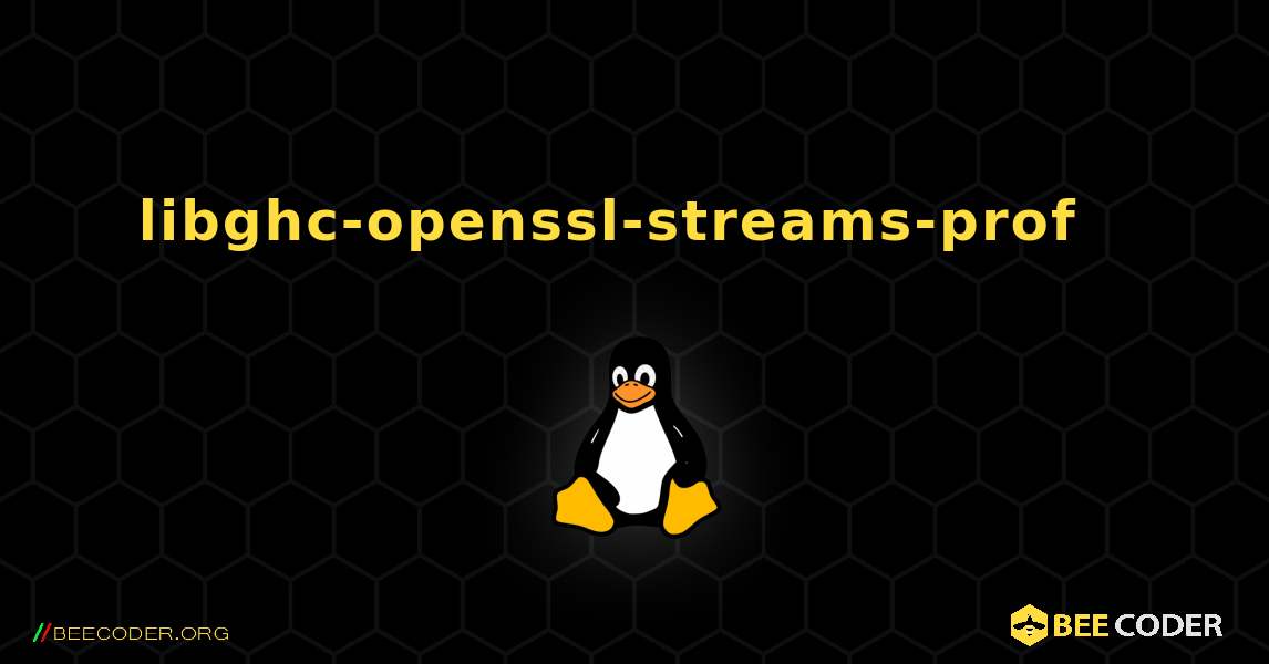 libghc-openssl-streams-prof  እንዴት እንደሚጫን. Linux