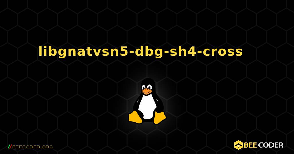 libgnatvsn5-dbg-sh4-cross  እንዴት እንደሚጫን. Linux
