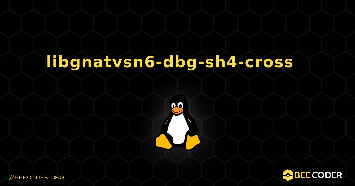 libgnatvsn6-dbg-sh4-cross  እንዴት እንደሚጫን. Linux