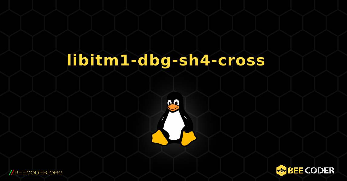 libitm1-dbg-sh4-cross  እንዴት እንደሚጫን. Linux