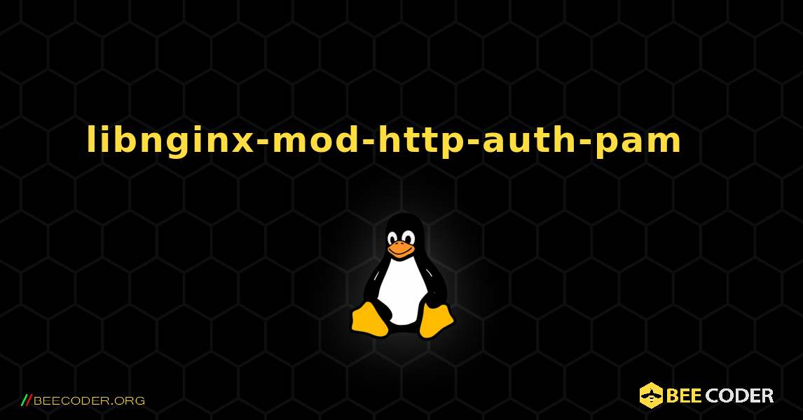 libnginx-mod-http-auth-pam  እንዴት እንደሚጫን. Linux