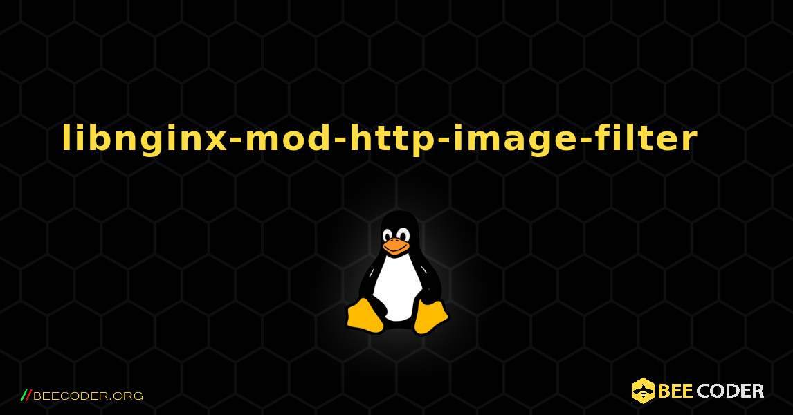 libnginx-mod-http-image-filter  እንዴት እንደሚጫን. Linux
