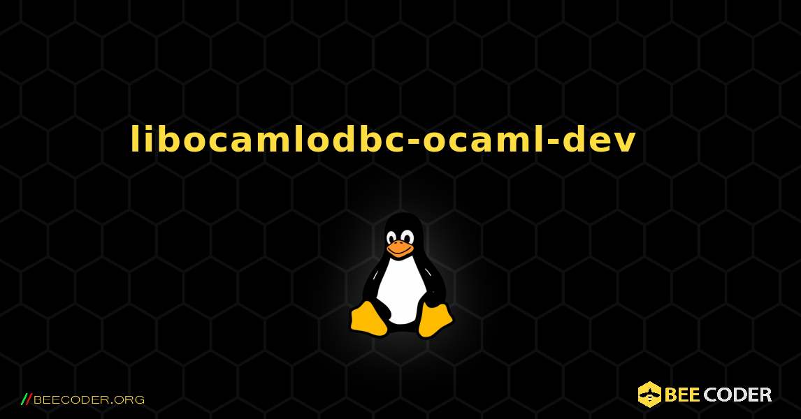 libocamlodbc-ocaml-dev  እንዴት እንደሚጫን. Linux