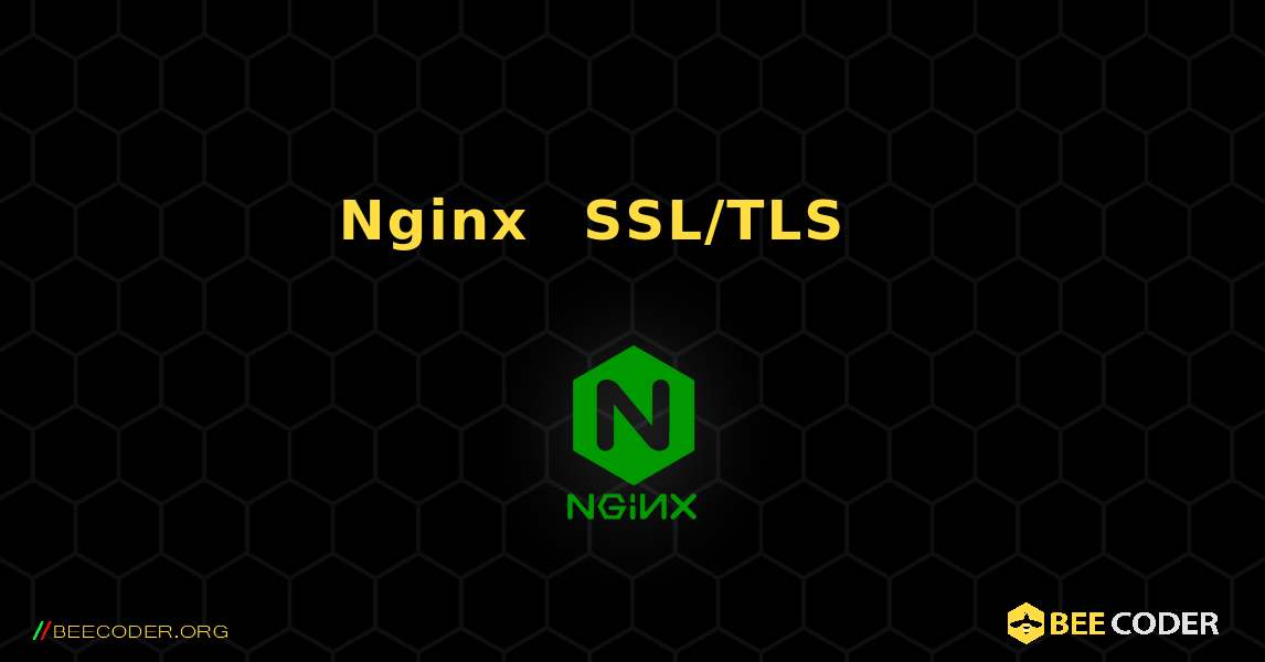 በNginx ውስጥ SSL/TLS ሰርተፍኬት እንዴት እንደሚጫን. NGINX