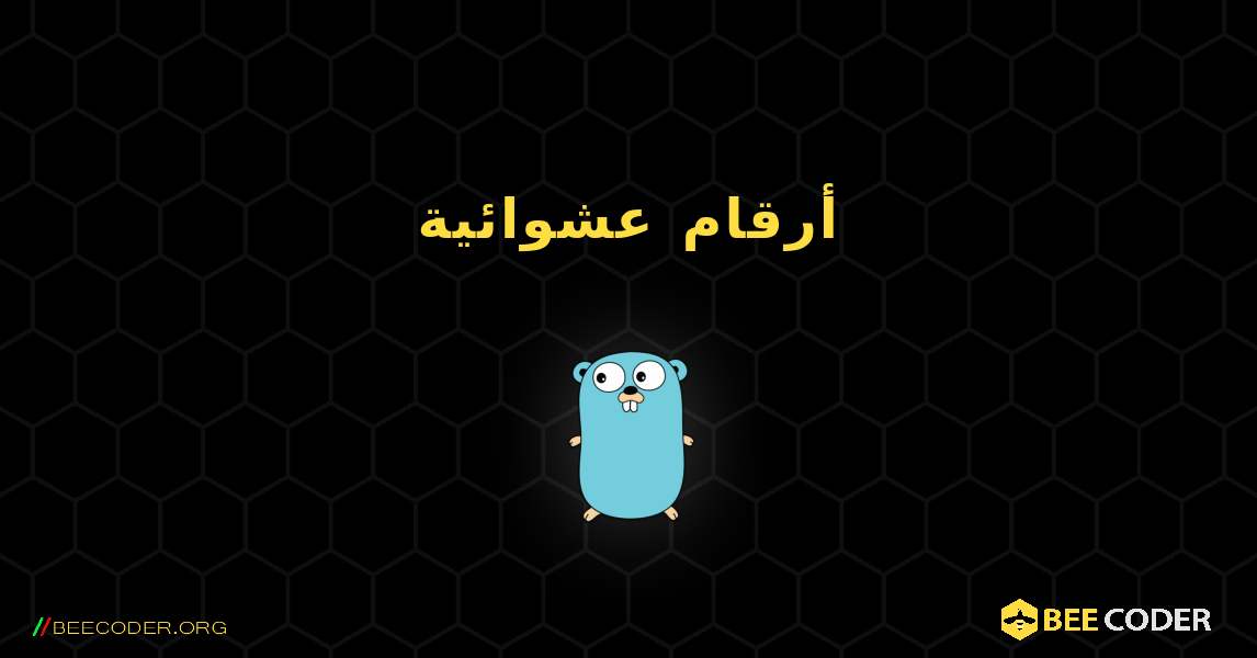 أرقام عشوائية. GoLang