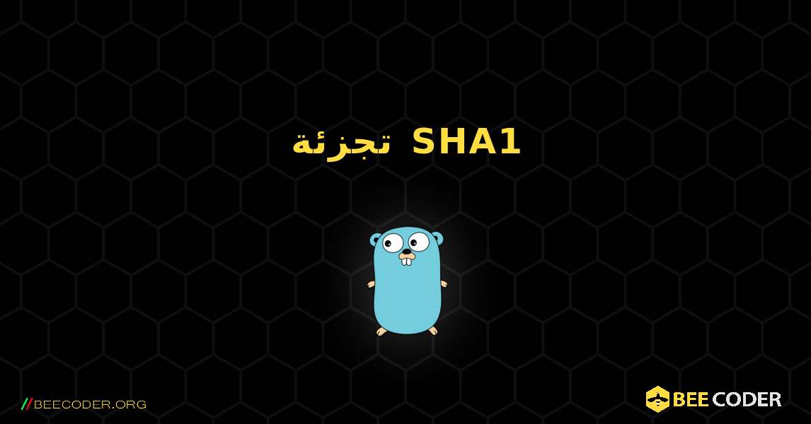 تجزئة SHA1. GoLang