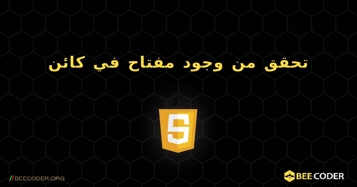 تحقق من وجود مفتاح في كائن. JavaScript