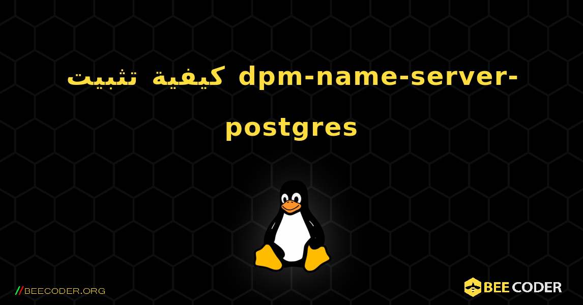 كيفية تثبيت dpm-name-server-postgres . Linux