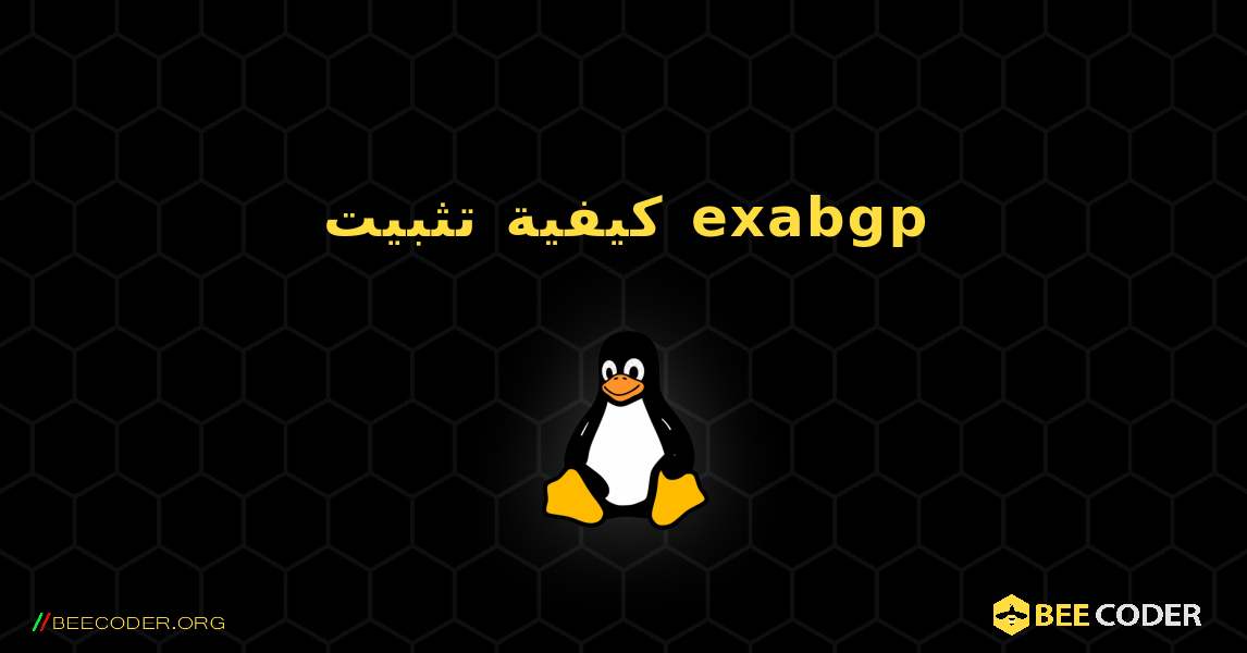 كيفية تثبيت exabgp . Linux