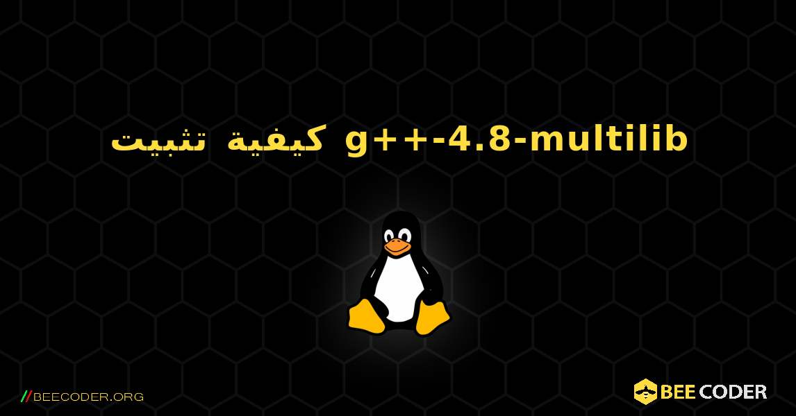 كيفية تثبيت g++-4.8-multilib . Linux