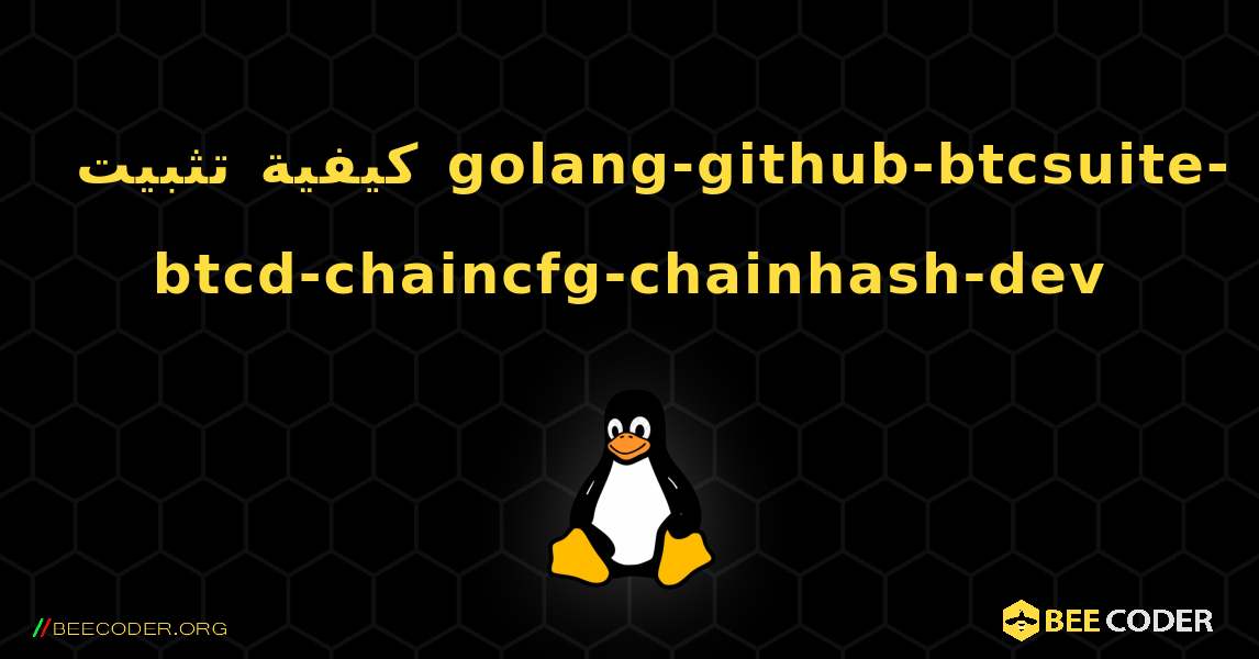 كيفية تثبيت golang-github-btcsuite-btcd-chaincfg-chainhash-dev . Linux