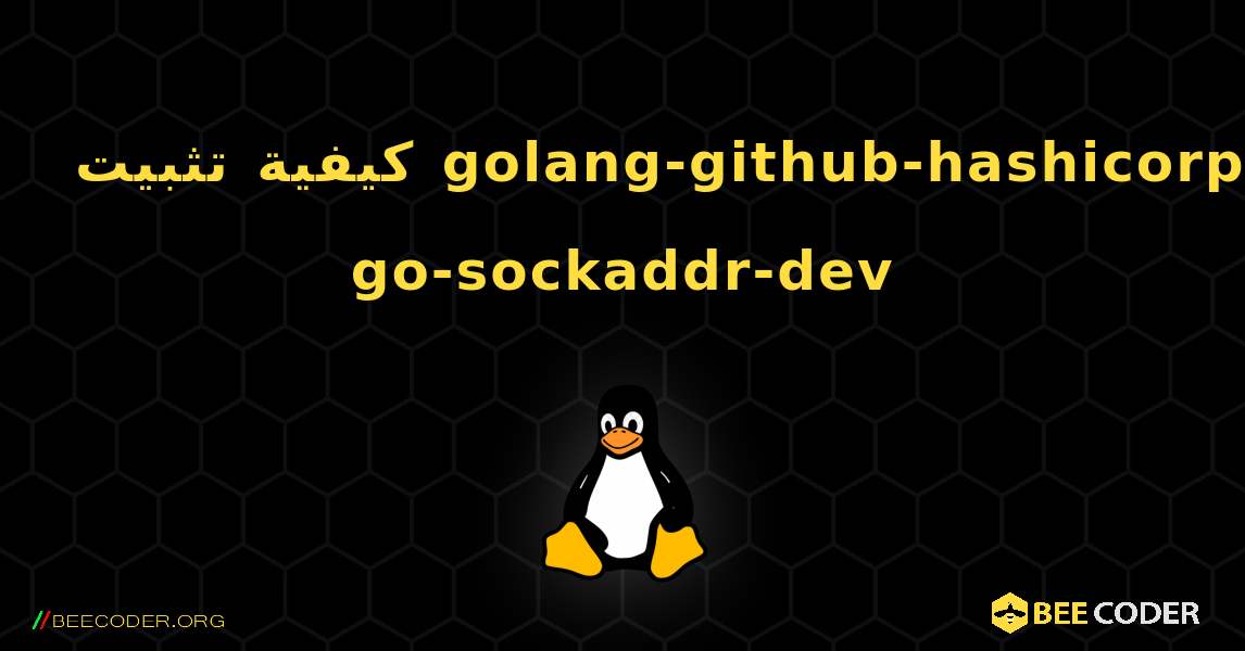 كيفية تثبيت golang-github-hashicorp-go-sockaddr-dev . Linux