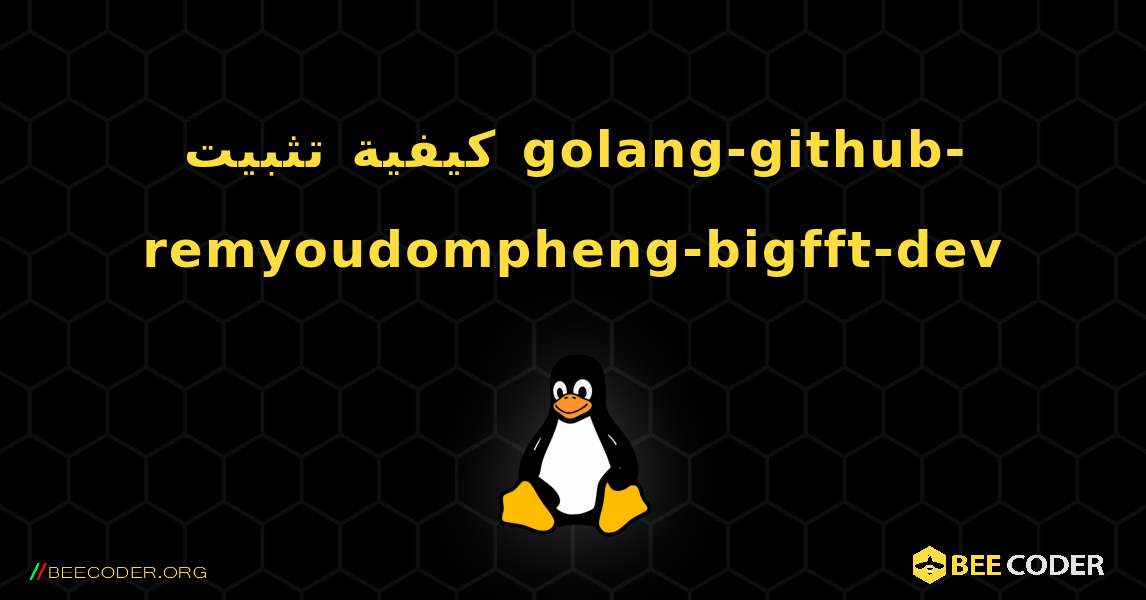 كيفية تثبيت golang-github-remyoudompheng-bigfft-dev . Linux