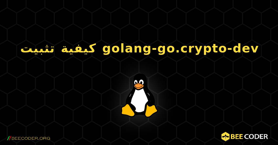 كيفية تثبيت golang-go.crypto-dev . Linux