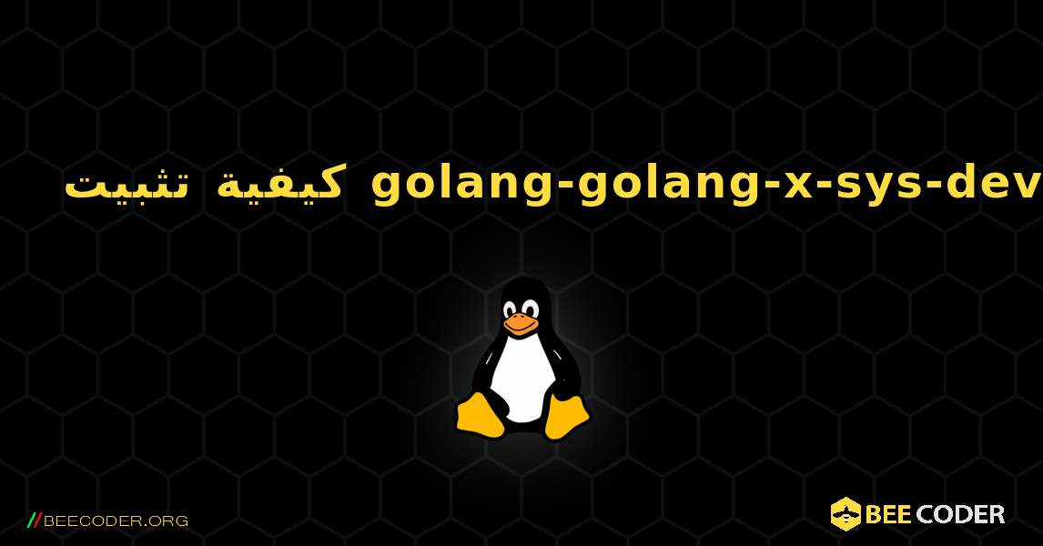 كيفية تثبيت golang-golang-x-sys-dev . Linux