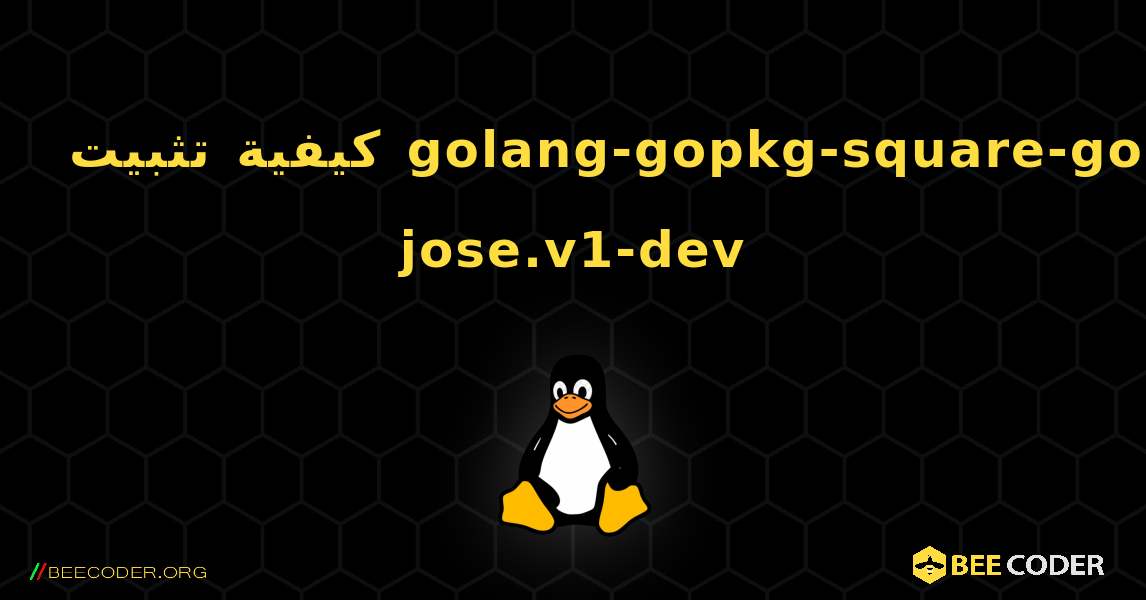 كيفية تثبيت golang-gopkg-square-go-jose.v1-dev . Linux