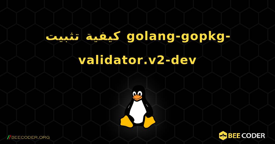 كيفية تثبيت golang-gopkg-validator.v2-dev . Linux