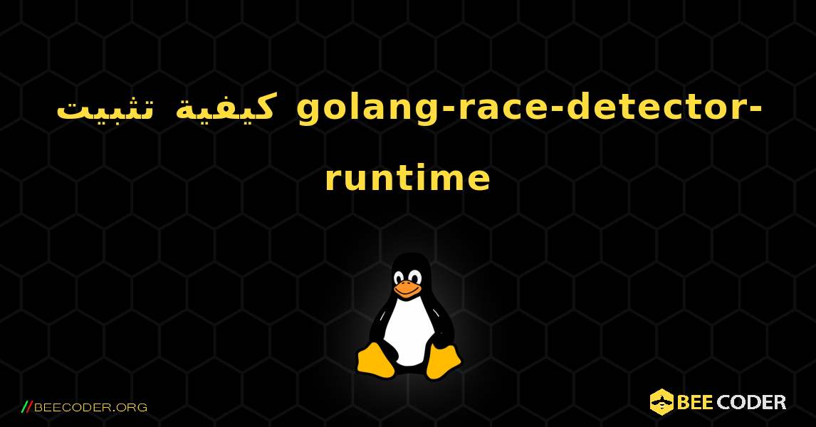 كيفية تثبيت golang-race-detector-runtime . Linux