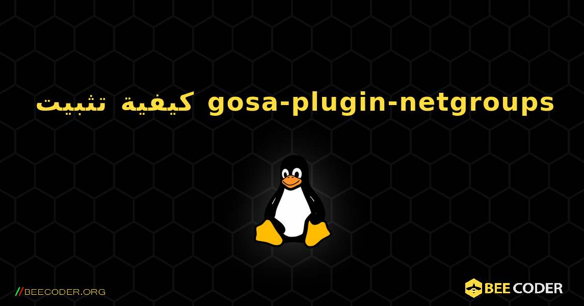 كيفية تثبيت gosa-plugin-netgroups . Linux