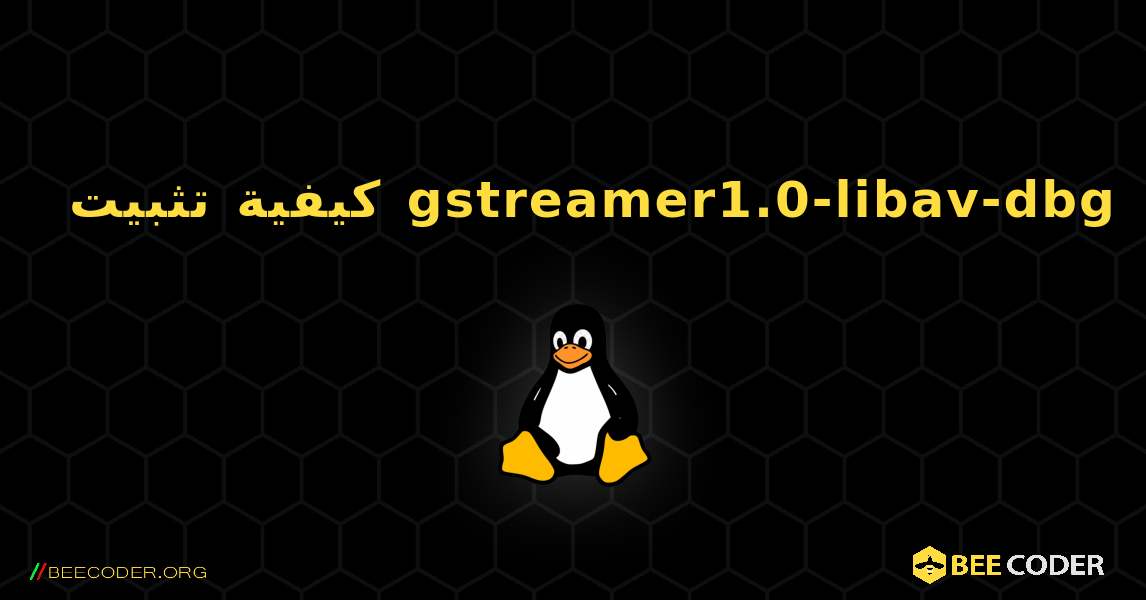 كيفية تثبيت gstreamer1.0-libav-dbg . Linux