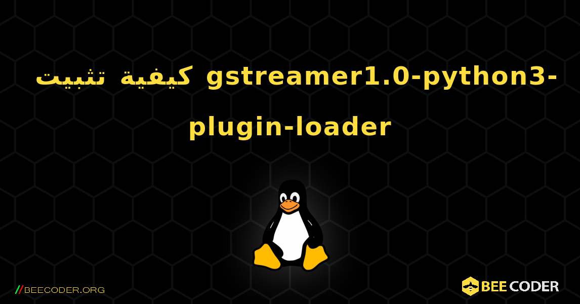 كيفية تثبيت gstreamer1.0-python3-plugin-loader . Linux