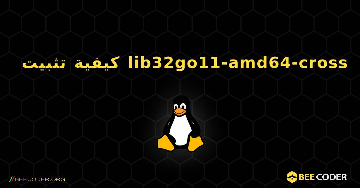 كيفية تثبيت lib32go11-amd64-cross . Linux