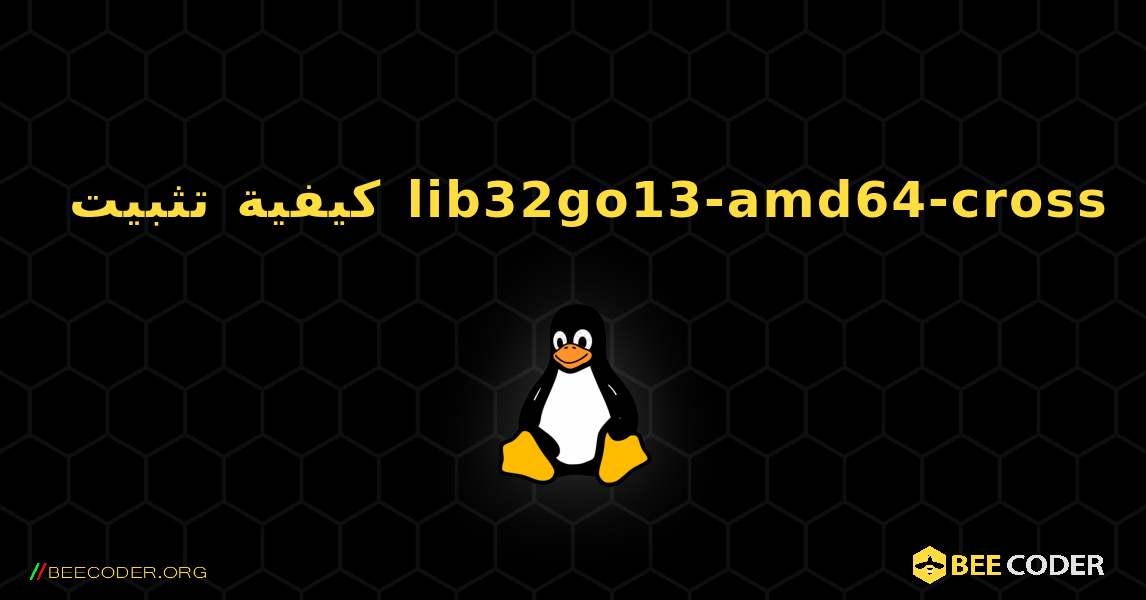 كيفية تثبيت lib32go13-amd64-cross . Linux