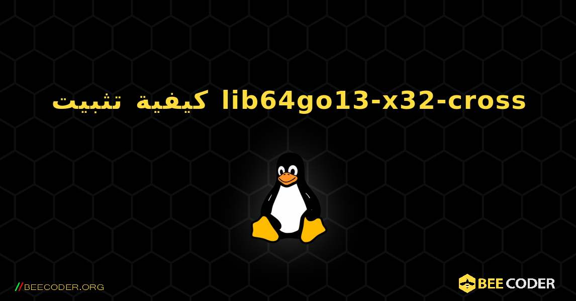 كيفية تثبيت lib64go13-x32-cross . Linux