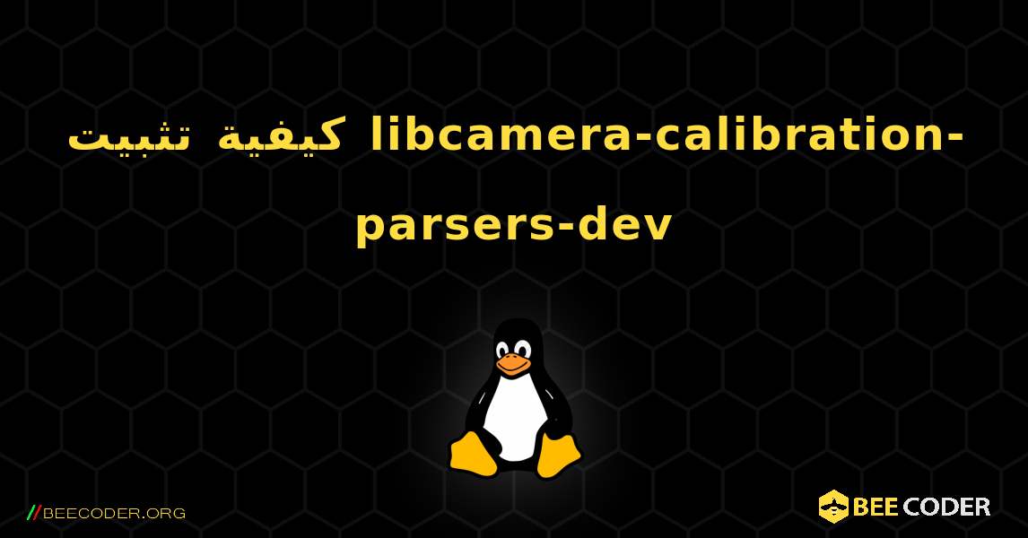 كيفية تثبيت libcamera-calibration-parsers-dev . Linux